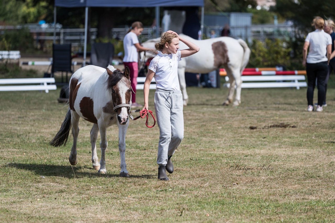 Bild 19 - Pony Akademie Turnier